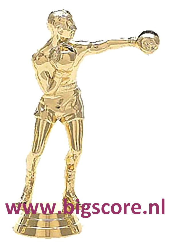 Boksen Heer Figuur 509 Goud